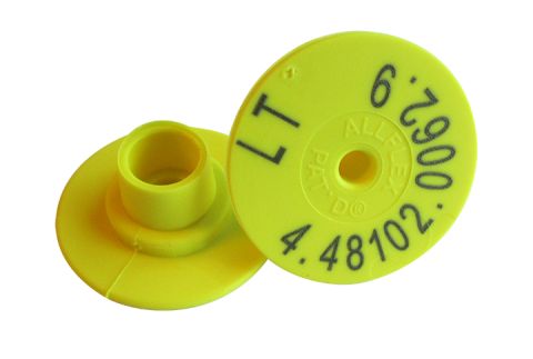 pig tag