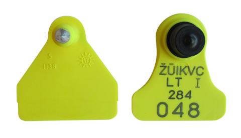 sheep retagging tag