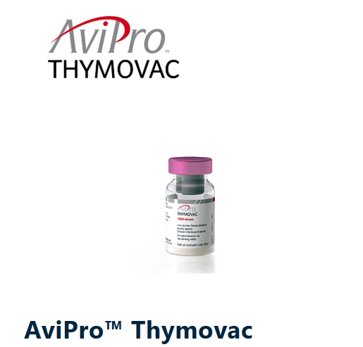 AviPro THYMOVAC – Gyva vakcina nuo vištų anemijos viruso (CAV) (Elanco)