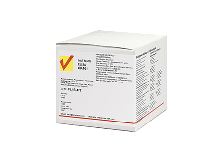 InfA Multi ELISA – Influenza A antikūnų nustatymo testas (BioChek)