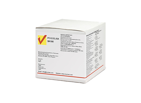 PCV2 PCR tyrimas kiaulėms