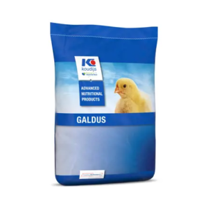 Galdus Power Starter – Mikrogranuliuotas startinis pašaras (Koudijs)